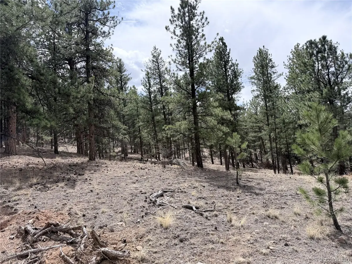 88 Crystal Lane, Lake George, CO 80827 - #1