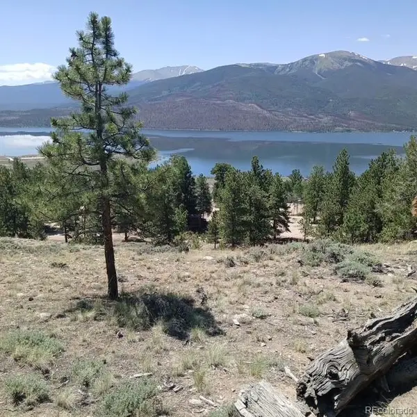 198 Parry Peak Drive, Twin Lakes, CO 81251