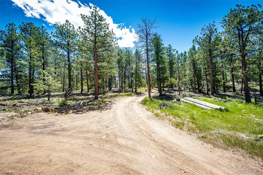S Wandcrest Drive, Pine, CO 80470 - #2