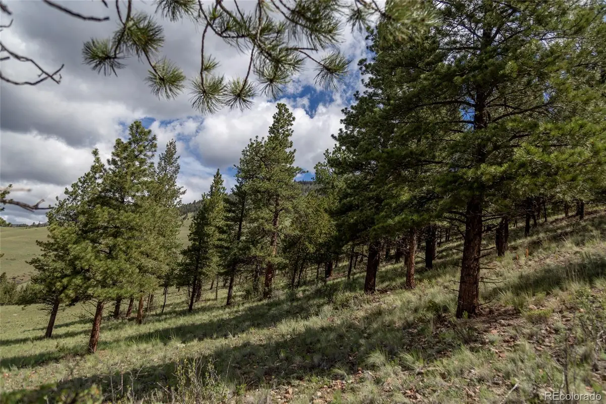 475 Cliff View Drive, Creede, CO 81130 - Image #1