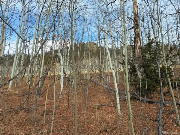 503 Sugar Loaf Lane, Jefferson, CO 80456