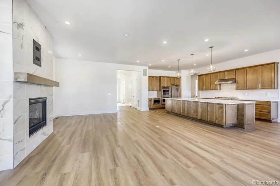 684 Leafy Aster Lane, Castle Rock, CO 80104 - #2