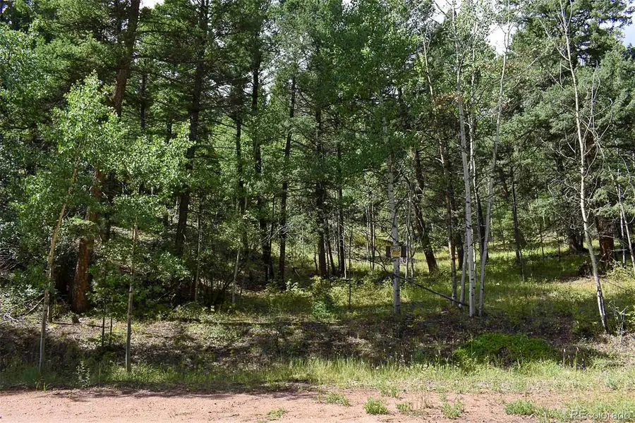 231 Deer Lane, Guffey, CO 80820 - Image #2
