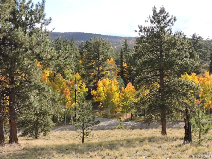 5113 Campfire Road, Hartsel, CO 80449 - Image #2