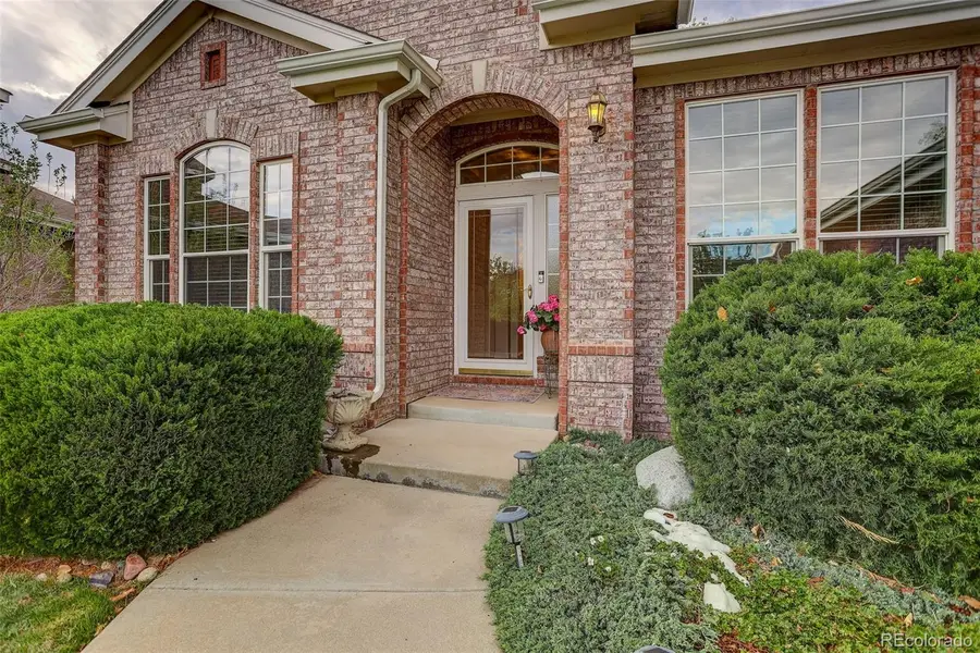 294 Sylvestor Place, Highlands Ranch, CO 80129 - #3