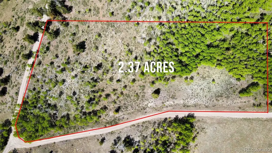 63 Pine Ridge Road, Fairplay, CO 80440 - Image #3