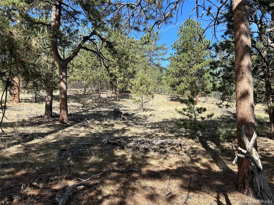 565 Hayhook Way, Hartsel, CO 80449 - #2