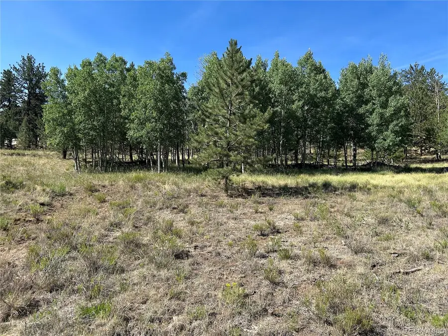 565 Hayhook Way, Hartsel, CO 80449 - #3