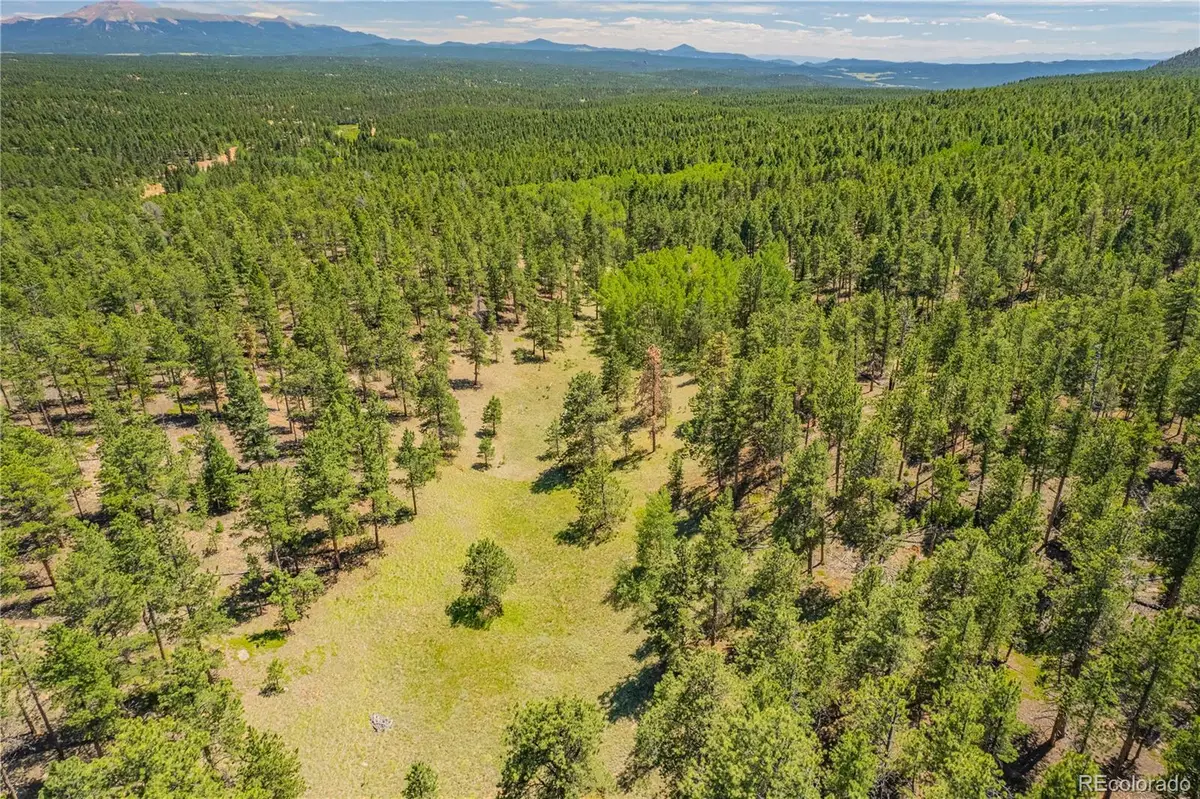 Lot 2 County Road 51, Florissant, CO 80816 - #1
