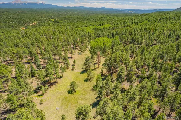 Lot 2 County Road 51, Florissant, CO 80816