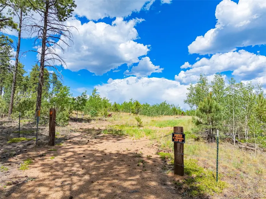 Lot 2 County Road 51, Florissant, CO 80816 - #2