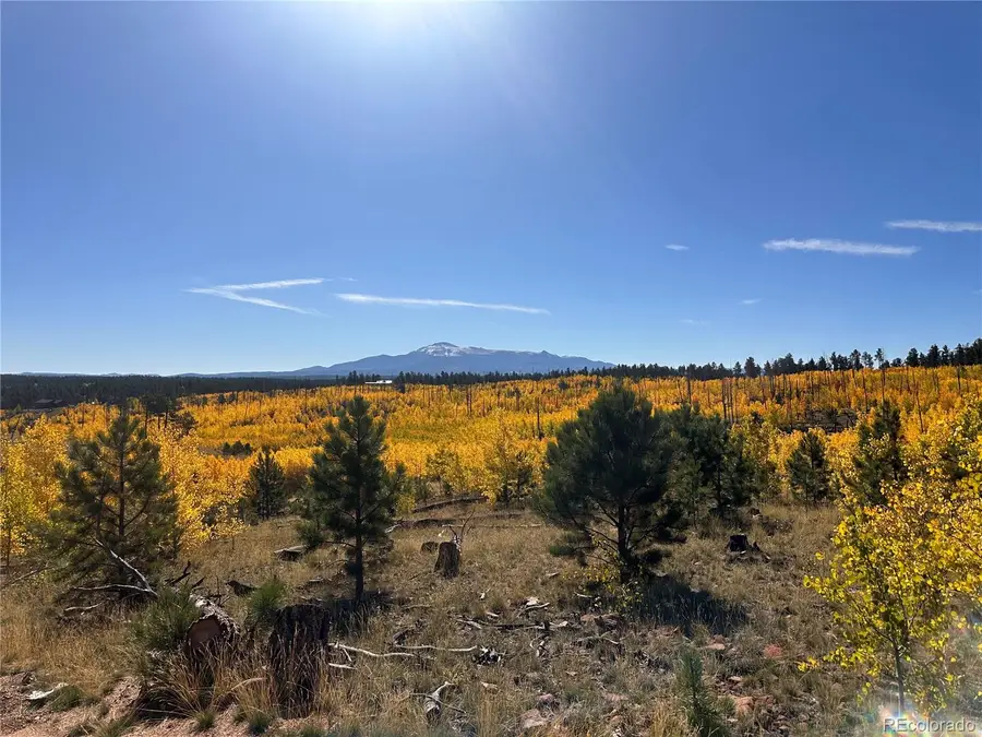 Lot 2 County Road 51, Florissant, CO 80816 - #3