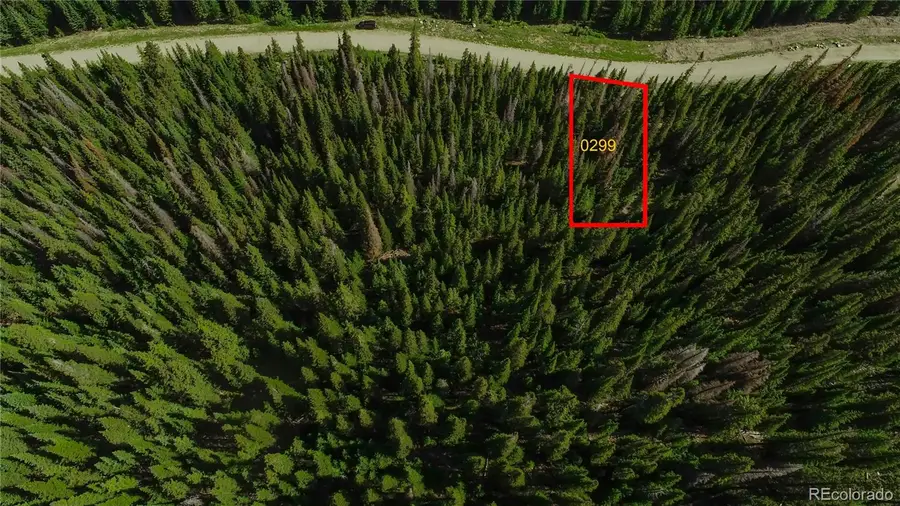 299 Cr 805, Breckenridge, CO 80424 - #2