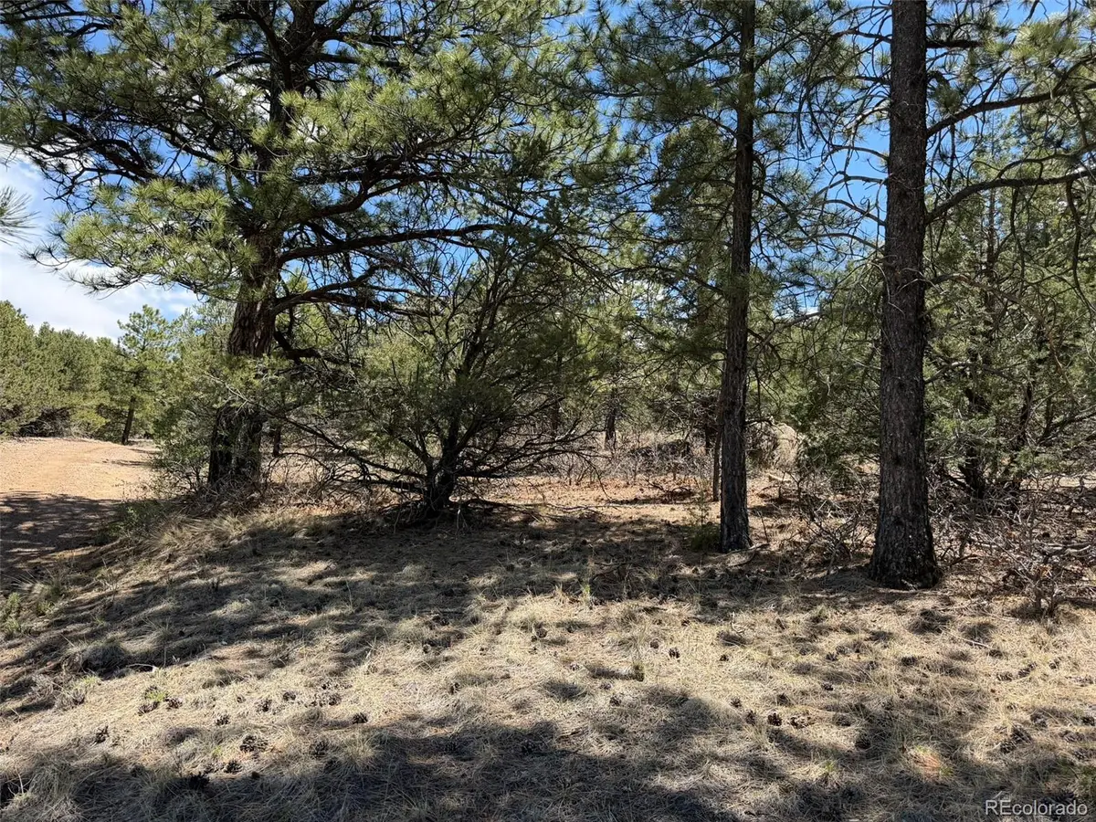 477 Bear Peak Road, Westcliffe, CO 81252 - #1