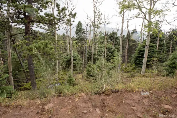 Lot 2825 Moir Drive, Fort Garland, CO 81133