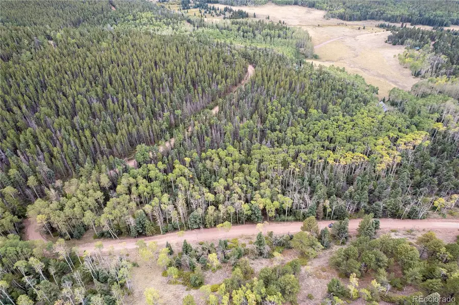 Lot 2825 Moir Drive, Fort Garland, CO 81133 - #2