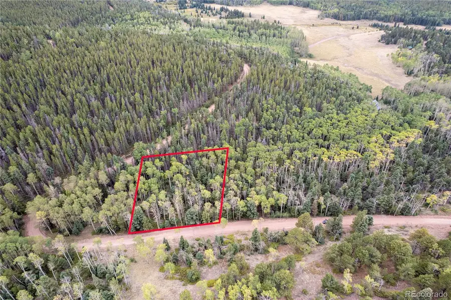 Lot 2825 Moir Drive, Fort Garland, CO 81133 - #3