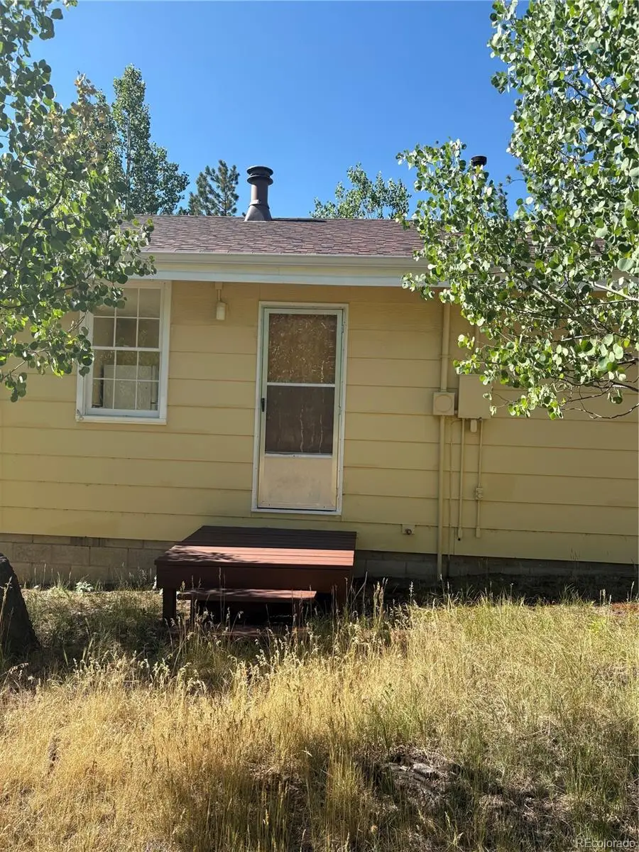 103 Baker Road, Bailey, CO 80421 - #3