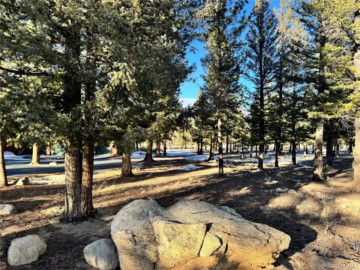 30470 Harvard Circle, Buena Vista, CO 81211 - Image #1