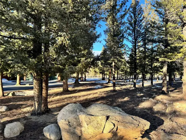 30470 Harvard Circle, Buena Vista, CO 81211