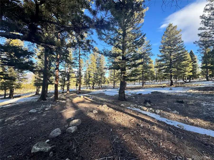 30470 Harvard Circle, Buena Vista, CO 81211 - Image #3