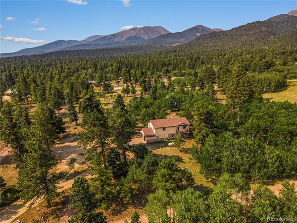 206 Little Horn Road, Westcliffe, CO 81252
