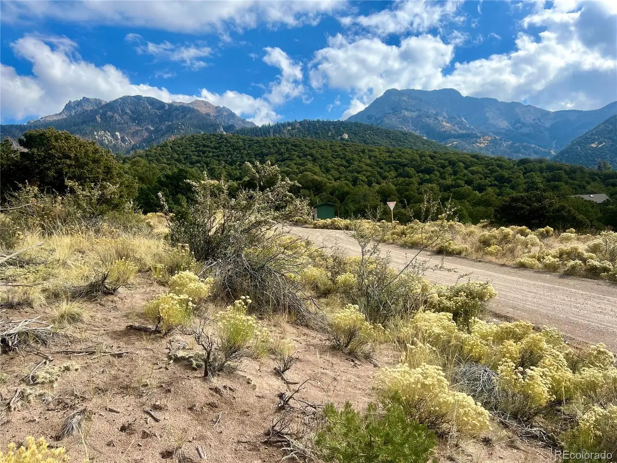 866 Pine Cone Way, Crestone, CO 81131 - #1