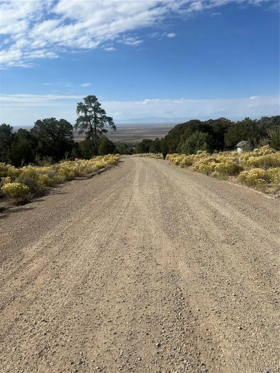 866 Pine Cone Way, Crestone, CO 81131 - #3