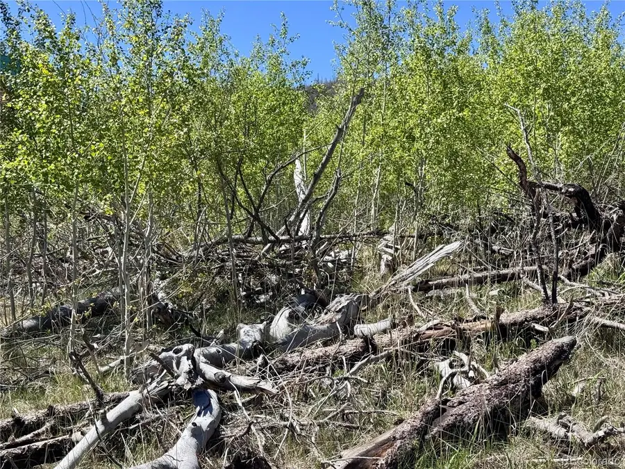 Lot 1005 Foy Place, Fort Garland, CO 81133 - #2