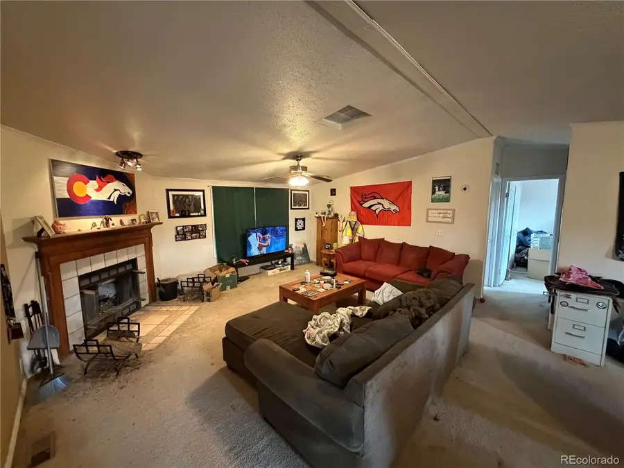 131 Dillon Lane, Florissant, CO 80816 - #2