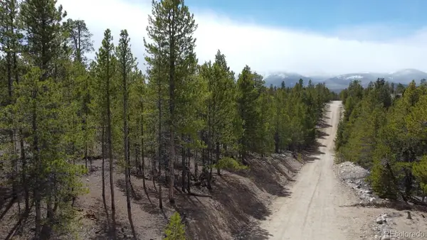 104 Spruce Drive, Twin Lakes, CO 81251