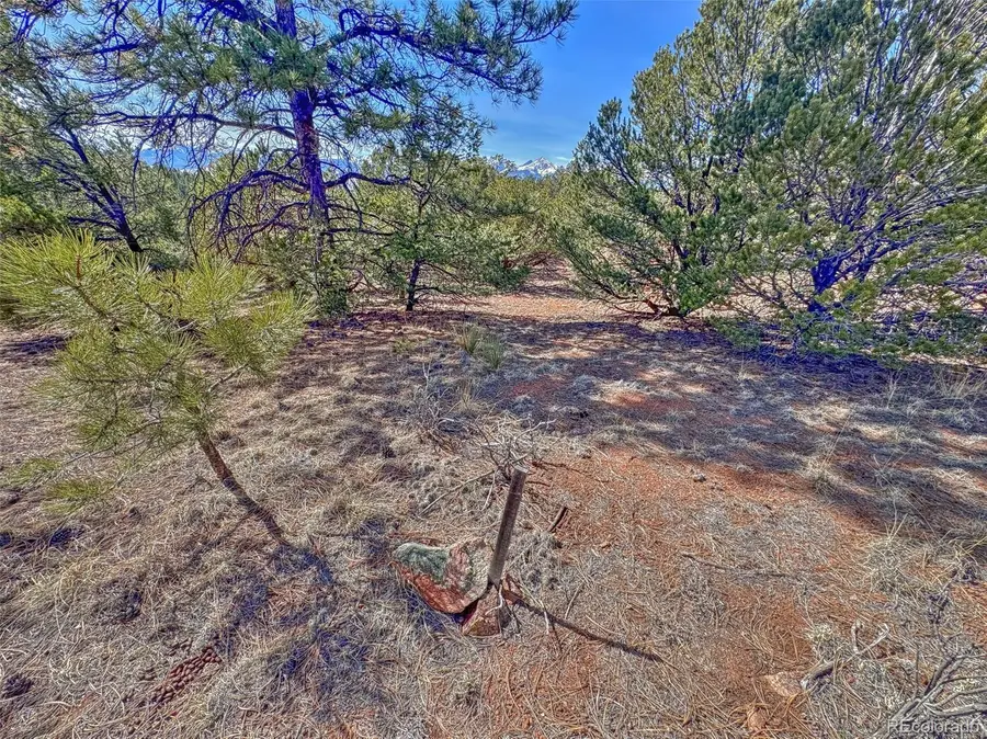 426 Arapaho Road, Westcliffe, CO 81252 - #3