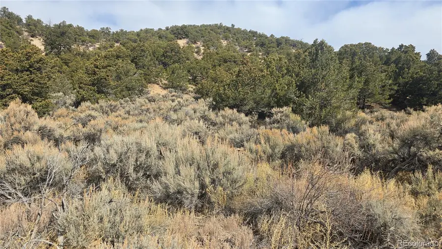 Lot 1628 Hidalgo Road, San Luis, CO 81152 - Image #3