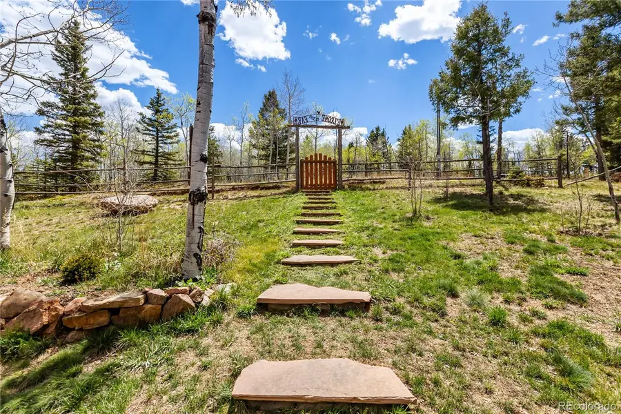 153 Moss Rock, Divide, CO 80814 - #3