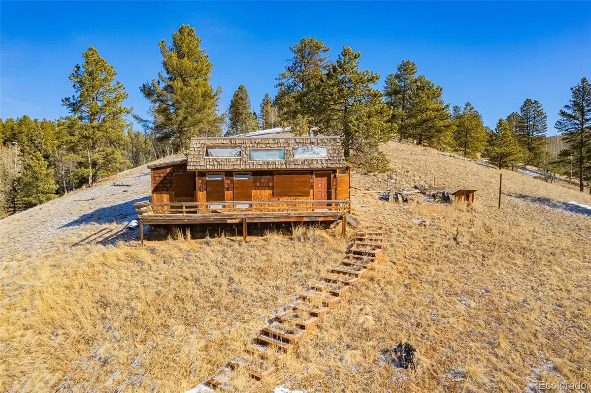 69 Snowberry Creek Road, Florissant, CO 80816 - #1