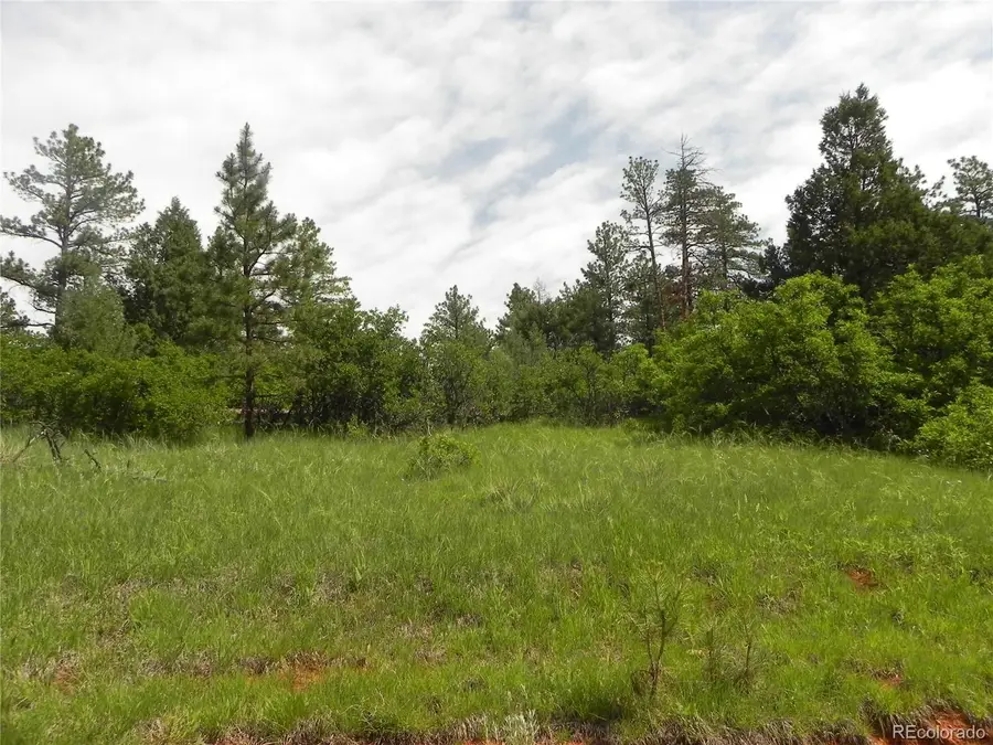 8160 Bannock Drive, Larkspur, CO 80118 - Image #2