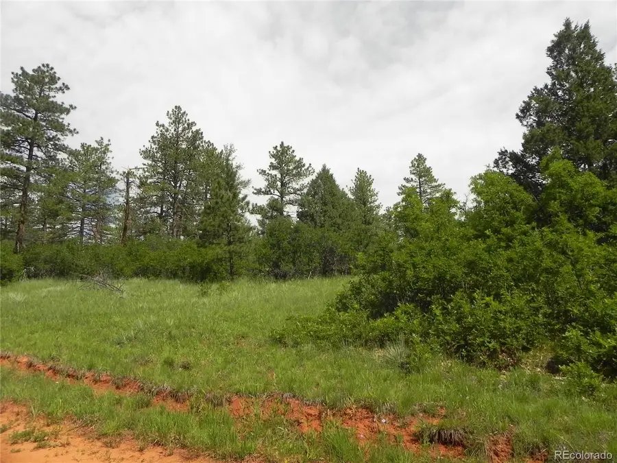 8160 Bannock Drive, Larkspur, CO 80118 - Image #3