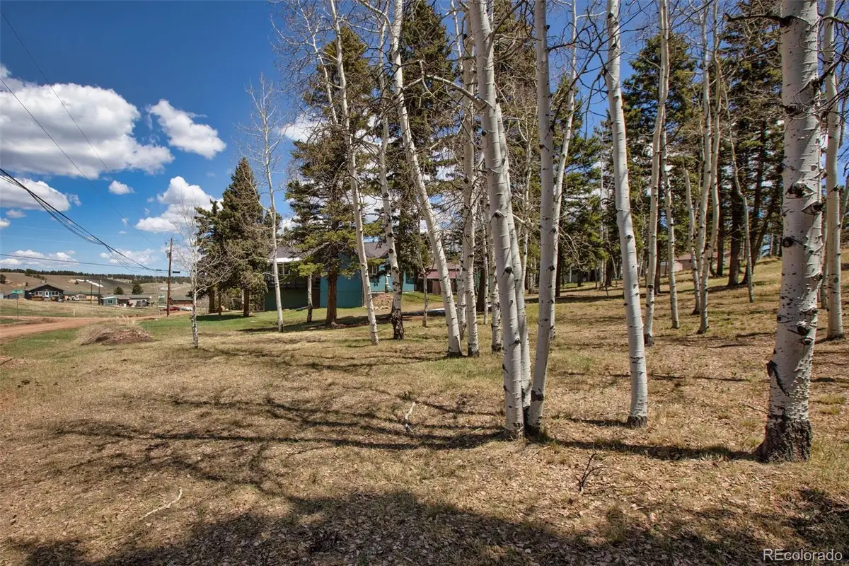 571 Will Scarlet Drive, Divide, CO 80814 - #1