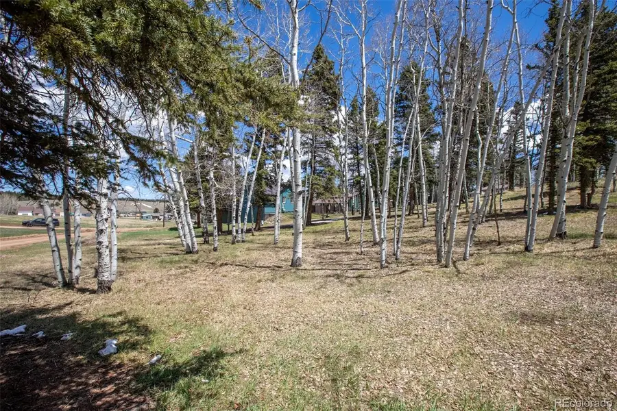 571 Will Scarlet Drive, Divide, CO 80814 - #2