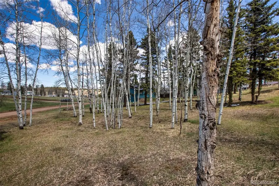 571 Will Scarlet Drive, Divide, CO 80814 - #3