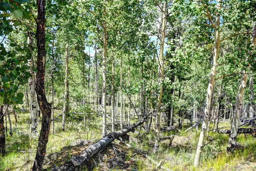 266 Timberline, Guffey, CO 80820 - #2