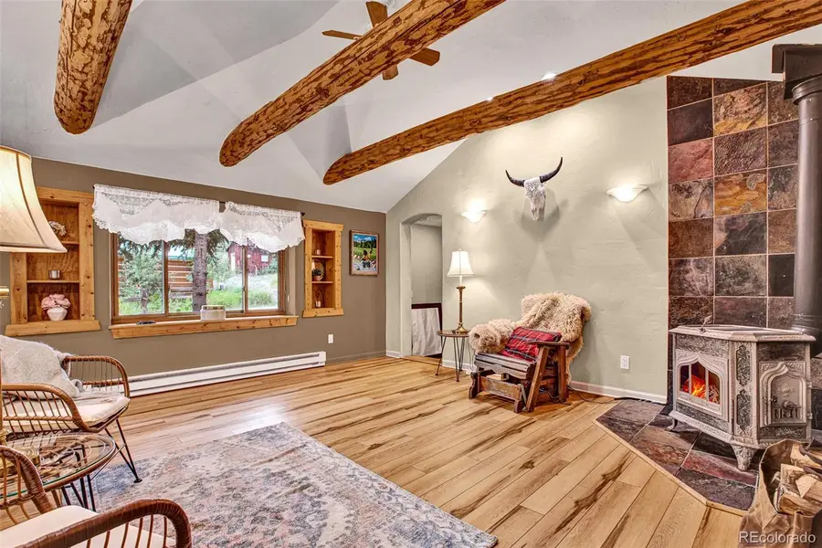 46 Singleton Road, Alma, CO 80420 - Image #3