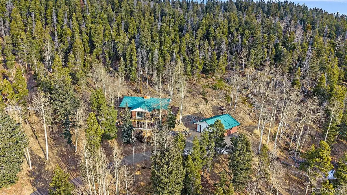 66 Lodgepole Circle, Evergreen, CO 80439 - #1