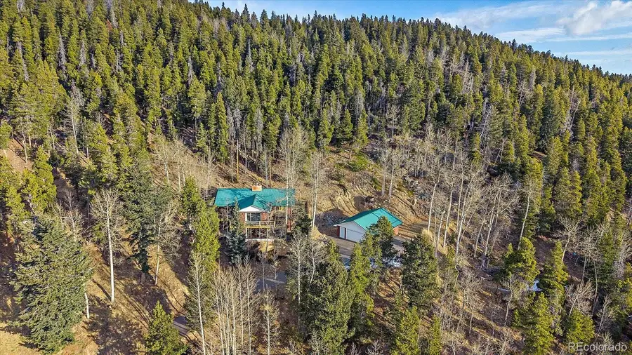 66 Lodgepole Circle, Evergreen, CO 80439 - #3