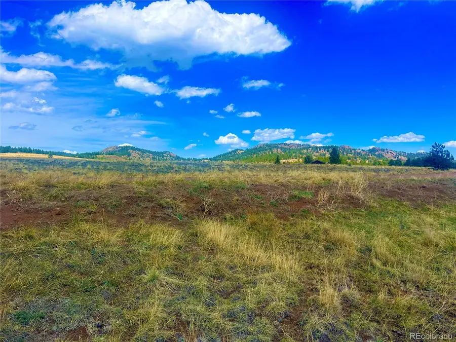 90 Meadow Lane, Guffey, CO 80820 - #2