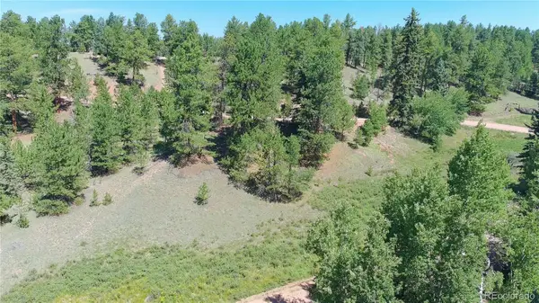 719 Spring Valley Lane, Florissant, CO 80816