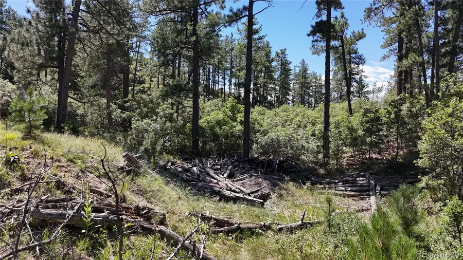 5080 S Perry Park Road, Sedalia, CO 80135 - Image #2