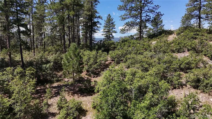 5080 S Perry Park Road, Sedalia, CO 80135 - Image #3