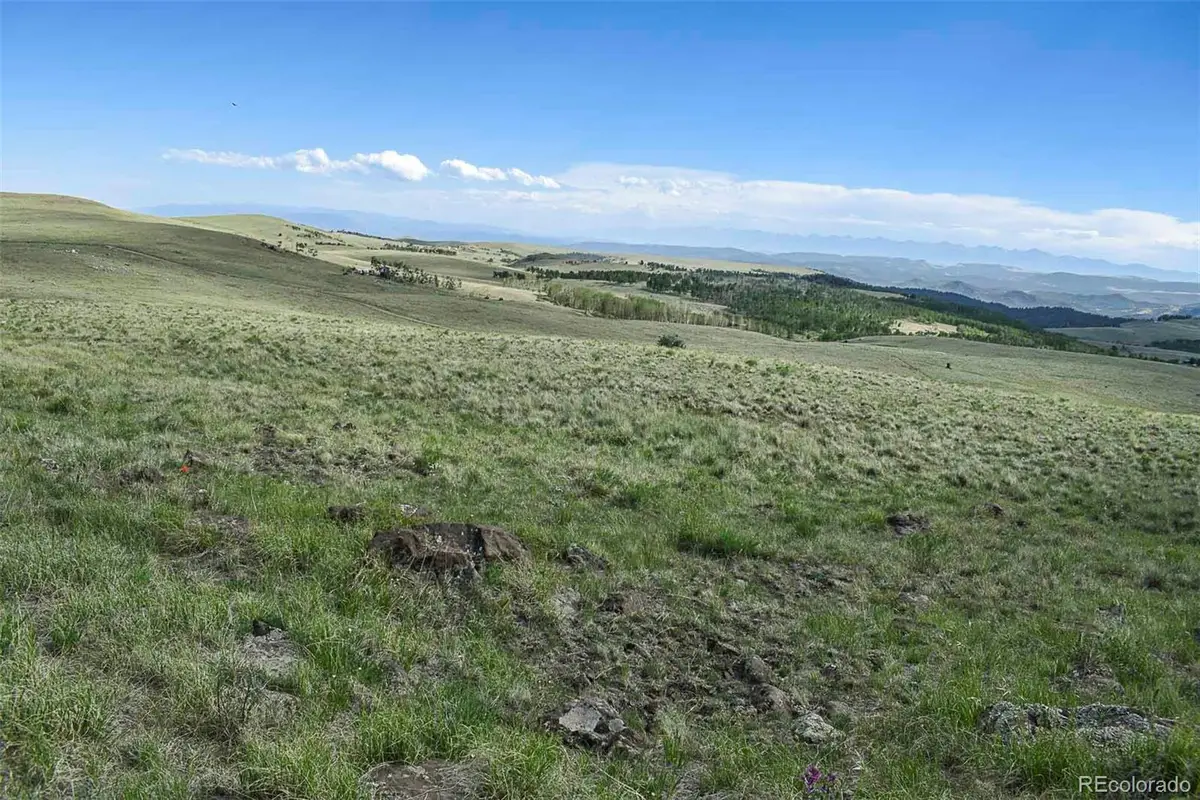 00 Bear Cat Road, Guffey, CO 80820 - #1