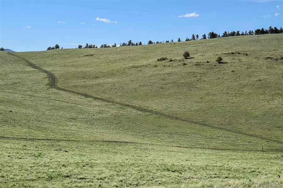 00 Bear Cat Road, Guffey, CO 80820 - #2